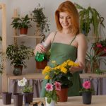 NHỮNG LỖI THƯỜNG GẶP CỦA CÂY XANH TRONG MÔI TRƯỜNG KÍN, HƯỚNG DẪN CHĂM SÓC CÂY VĂN PHÒNG ĐÚNG CÁCH