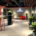 LỢI ÍCH VÀNG CỦA CÂY XANH TRONG MÔI TRƯỜNG VĂN PHÒNG