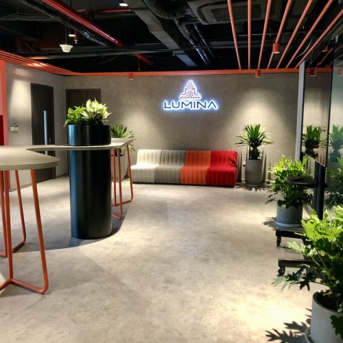 LỢI ÍCH VÀNG CỦA CÂY XANH TRONG MÔI TRƯỜNG VĂN PHÒNG