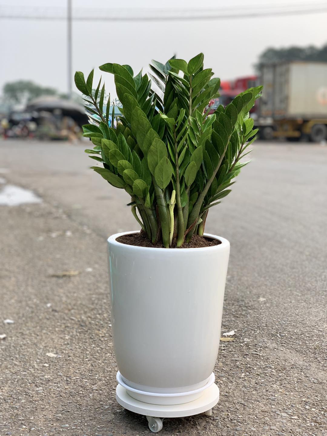 339974921_521216646658183_3124750606824401185_n