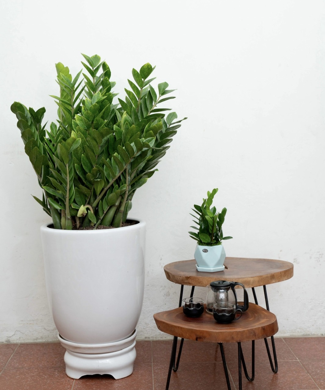 z5921663227236_a0ce4ca37a1ef8ba20e31dca383aea31