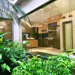 TOP 10 LOẠI CÂY XANH TRỒNG TRONG NHÀ DỄ CHĂM SÓC