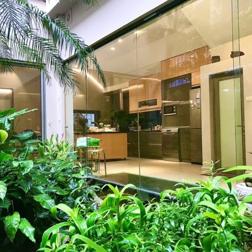 TOP 10 LOẠI CÂY XANH TRỒNG TRONG NHÀ DỄ CHĂM SÓC