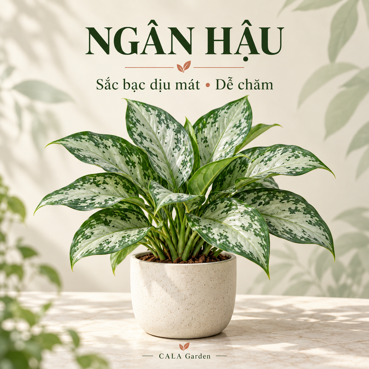 37dab7e3-b134-4113-9383-e511d5dde6a6